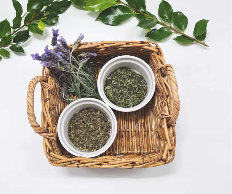 Photoshoot Made from organic herbs